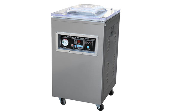 DZQ-400/2H Vacuum Packing Machine