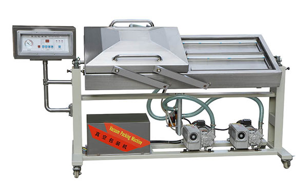 DZ(Q)-500/2SC Incline Vacuum Packing Machine